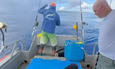 Haleiwa Report Video 0