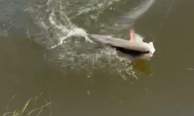 Tight Line is the way to go!!