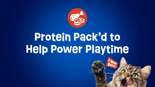 Friskies Tender & Crunchy Combo Dry Cat Food