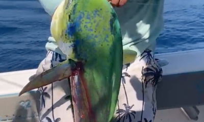 2025 Men’s Son-in-Law Fishing Excursion – A Legendary Outing