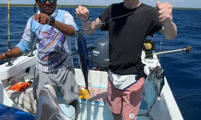 Alfonso and crew were great!!!!