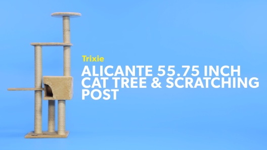 TRIXIE Alicante 55.75-in Plush Cat Tree & Condo