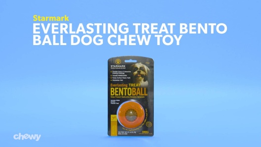 Starmark Everlasting Treat Bento Ball Dog Toy