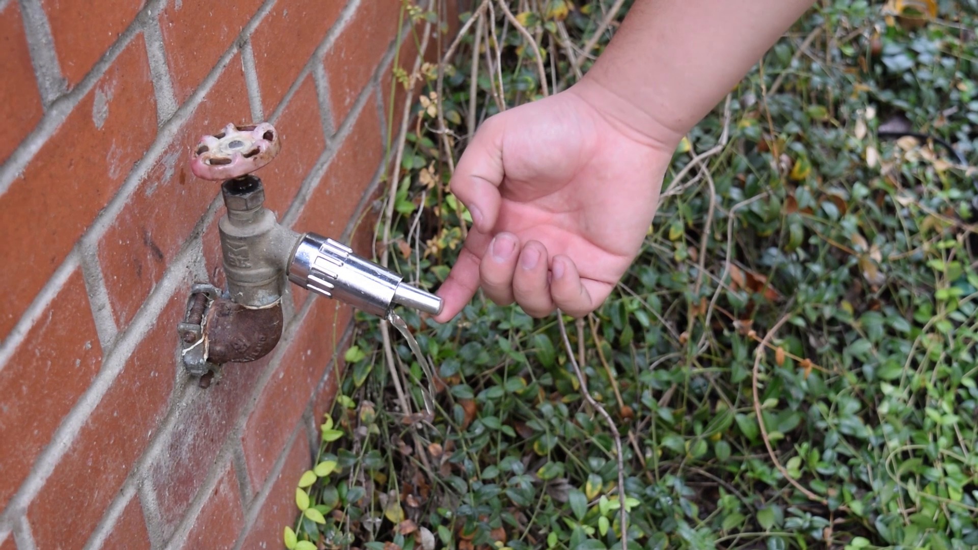 licks it dog waterer