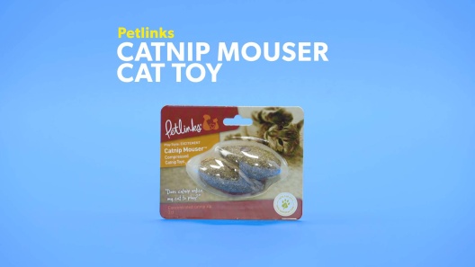Play Video: Learn More About Petlinks From Our Team of Experts