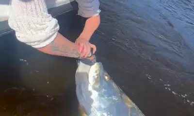 Friendly guide & we caught fish 