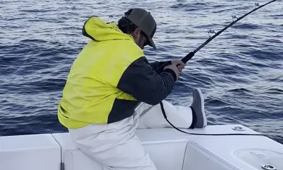 North Carolina Report Video 2