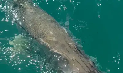 3 hours of fishing and a rocket launch! 