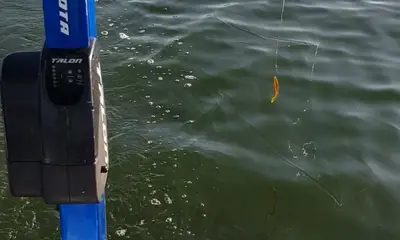 San Antonio Report Video 0