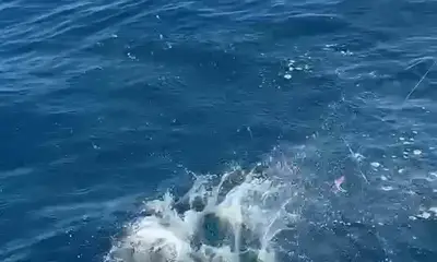 Quepos Видео отчет 1