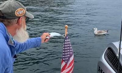 Maine Report Video 1