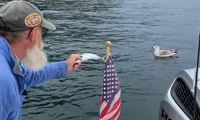 Freeport Report Video 0