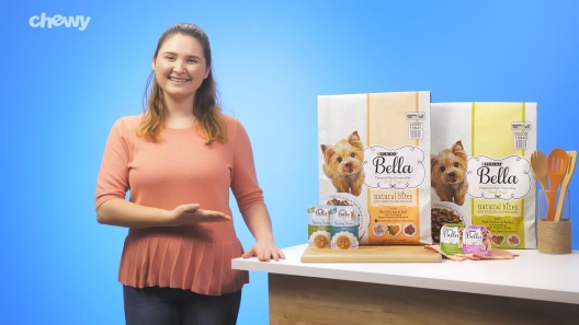 Play Video: Learn More About Purina Bella From Our Team of Experts