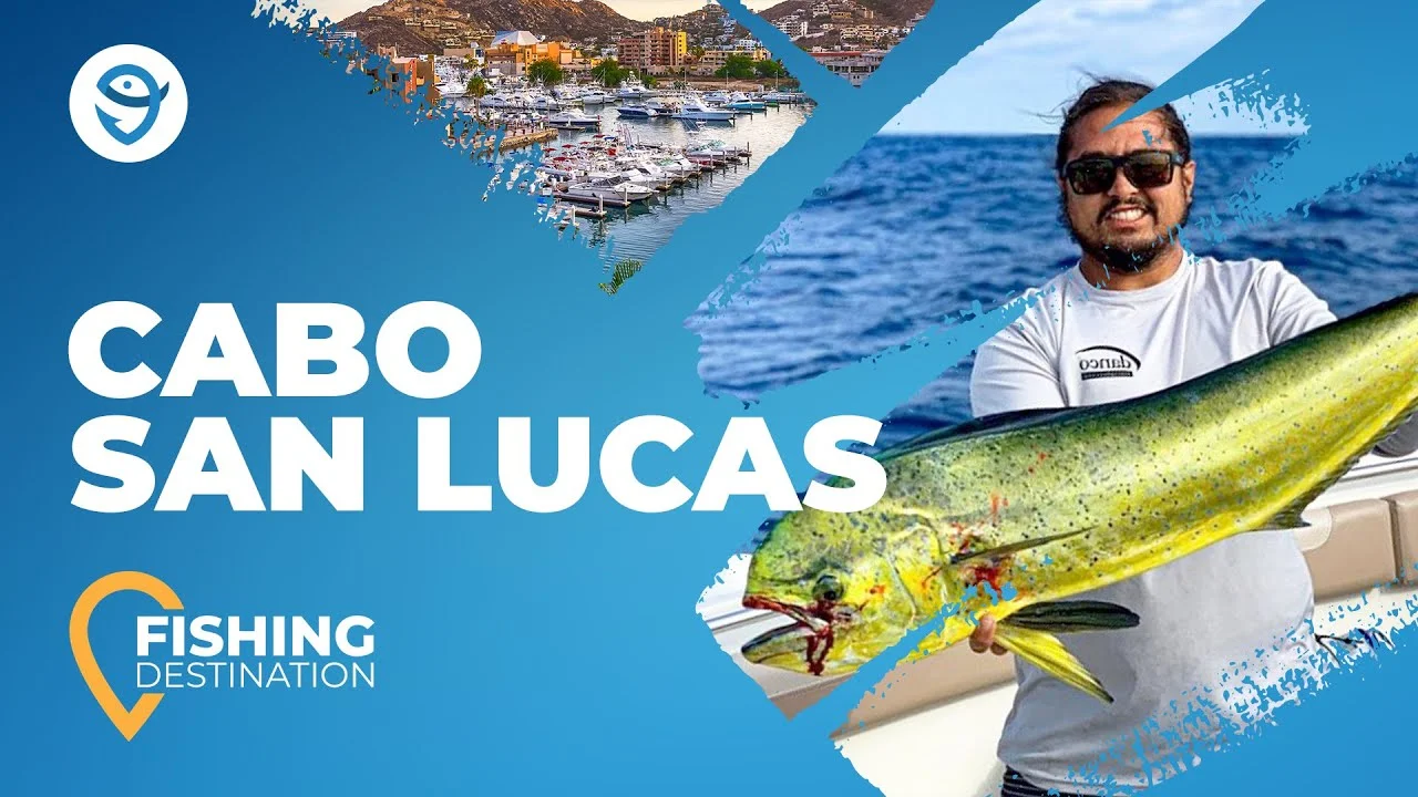 FISHING IN CABO SAN LUCAS: The Complete Guide
