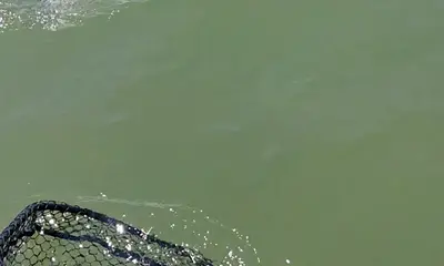 Hatteras Report Video 1