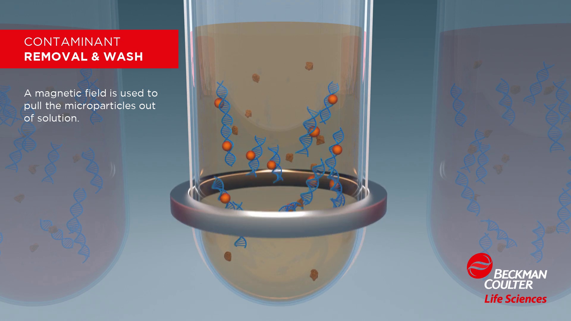 Bead Size Selection and Ratio Beckman Coulter