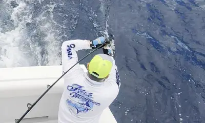 Reporte de Cabo San Lucas Video 2