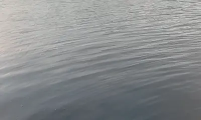 San Juan Report Video 0