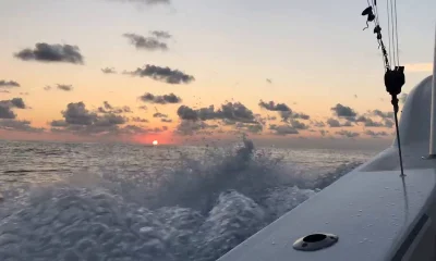 Carolina Beach Bericht Video 0