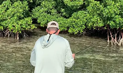 Key West Report Video 0