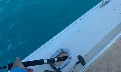 Key West Report Video 0