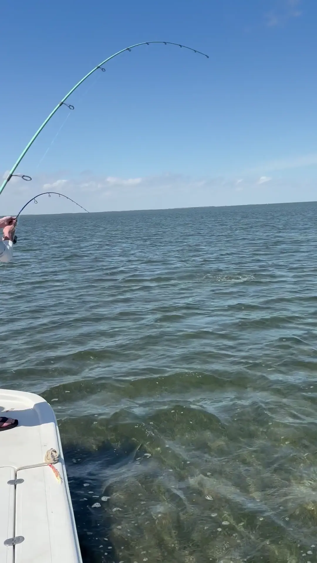 Business Card: AW Fishing