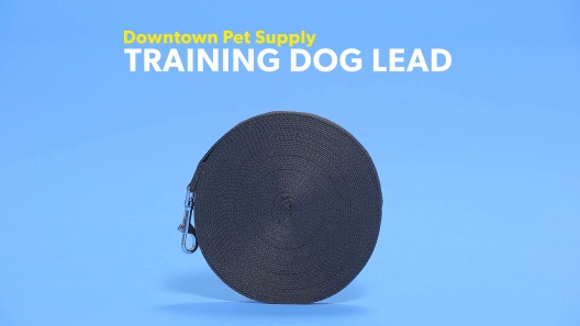 Downtown Pet Supply Dog/Puppy Obedience Recall Training Agility Lead, Orange, 30 Foot