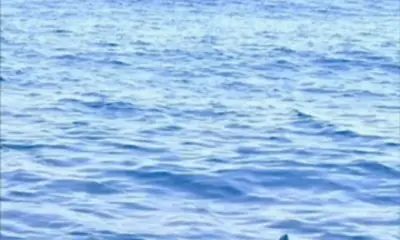 Fort Walton Beach Report Video 0