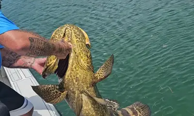 Stock Island Report Video 0