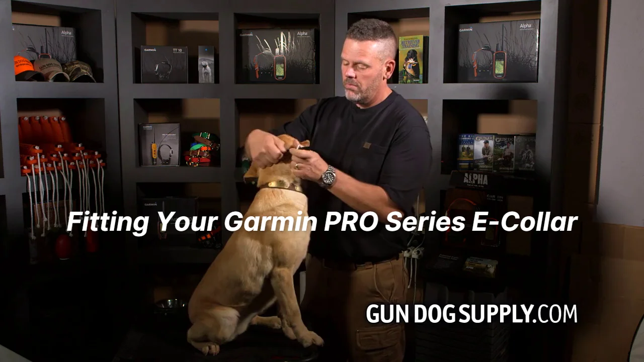 Garmin Tri-tronics PRO 70 Gun Dog Supply