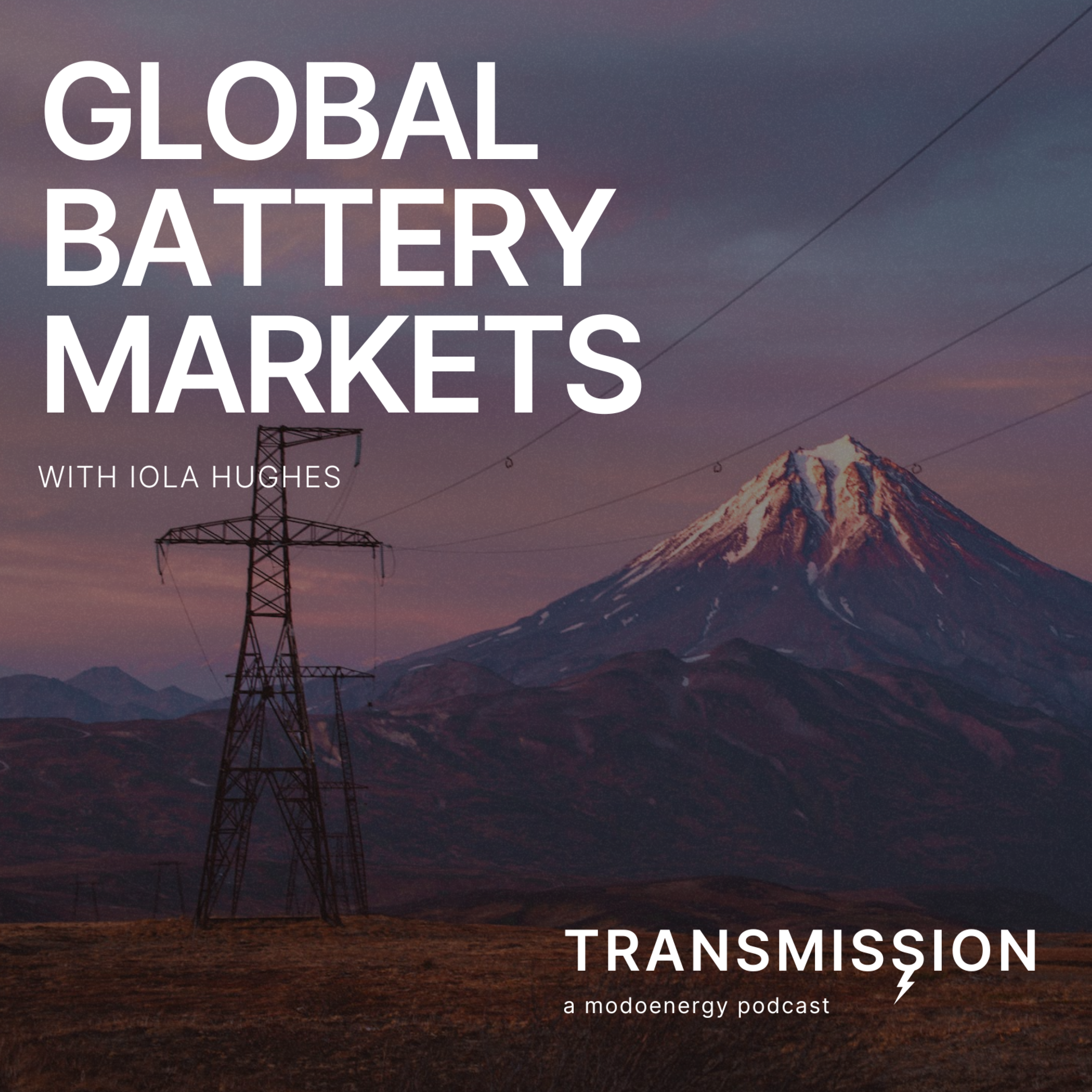 Global battery markets with Iola Hughes (Head of Research @ Rho Motion) - podcast episode cover