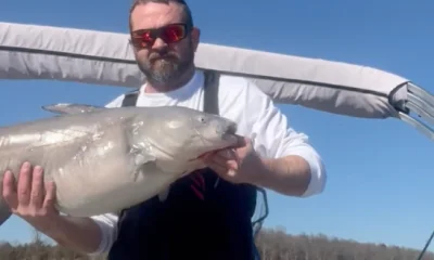 Sand Springs Report Video 1