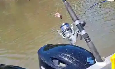 Port Douglas Report Video 2