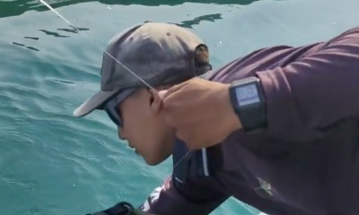 Sayulita Report Video 0