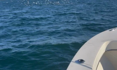 Narragansett Report Video 1