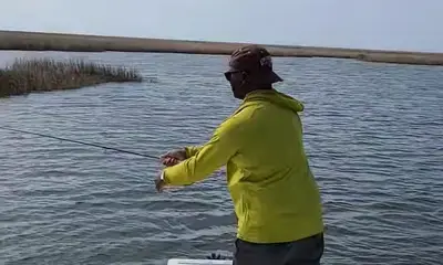 St. Bernard Report Video 0