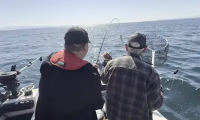 Vancouver Island Report Video 2