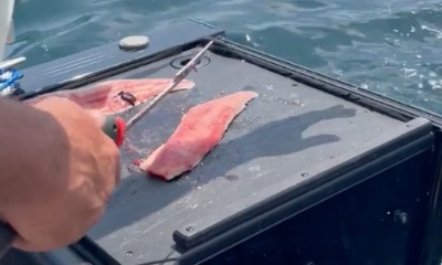 Tin Missile Trophy Sportsfishing
