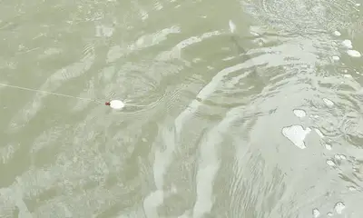Hilton Head Island Report Video 0