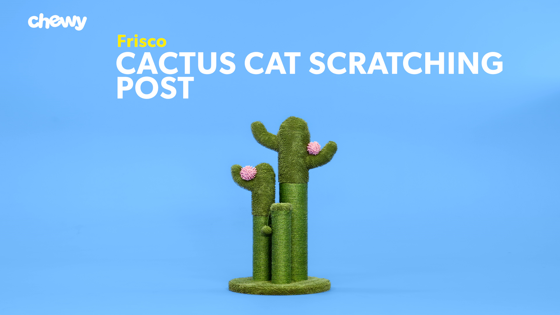 frisco cactus cat