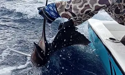 Herradura Report Video 0