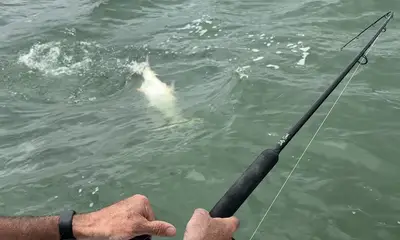 Jacksonville Report Video 1