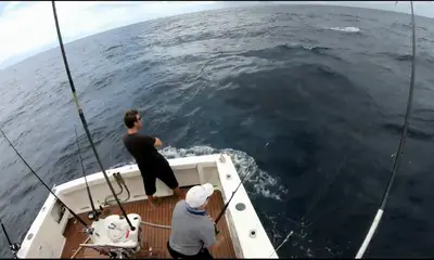 Sydney Report Video 0
