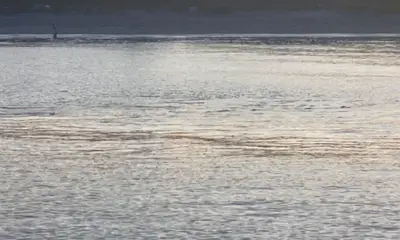 Sarasota Report Video 0