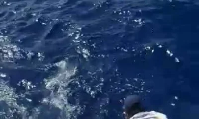 Punta Cana Bericht Video 0