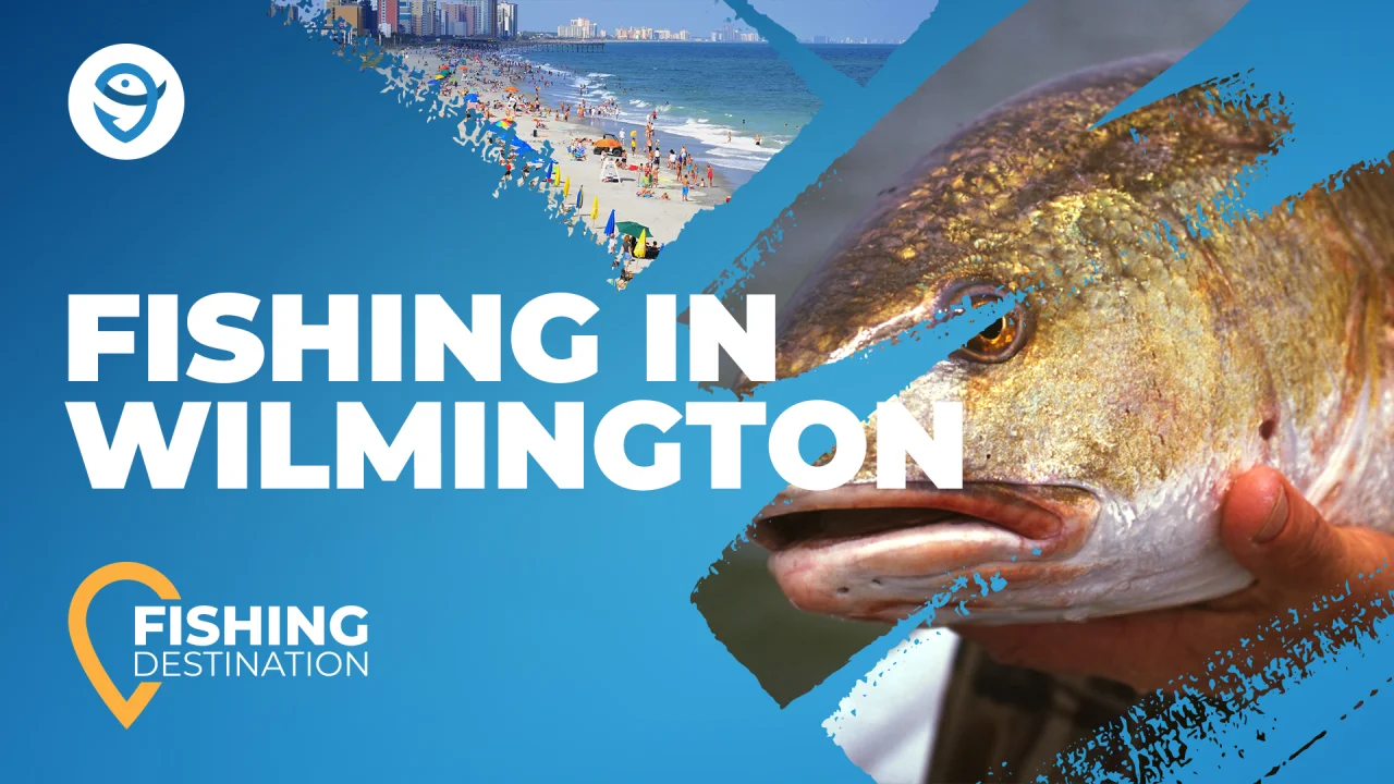 Fishing in WILMINGTON: The Complete Guide