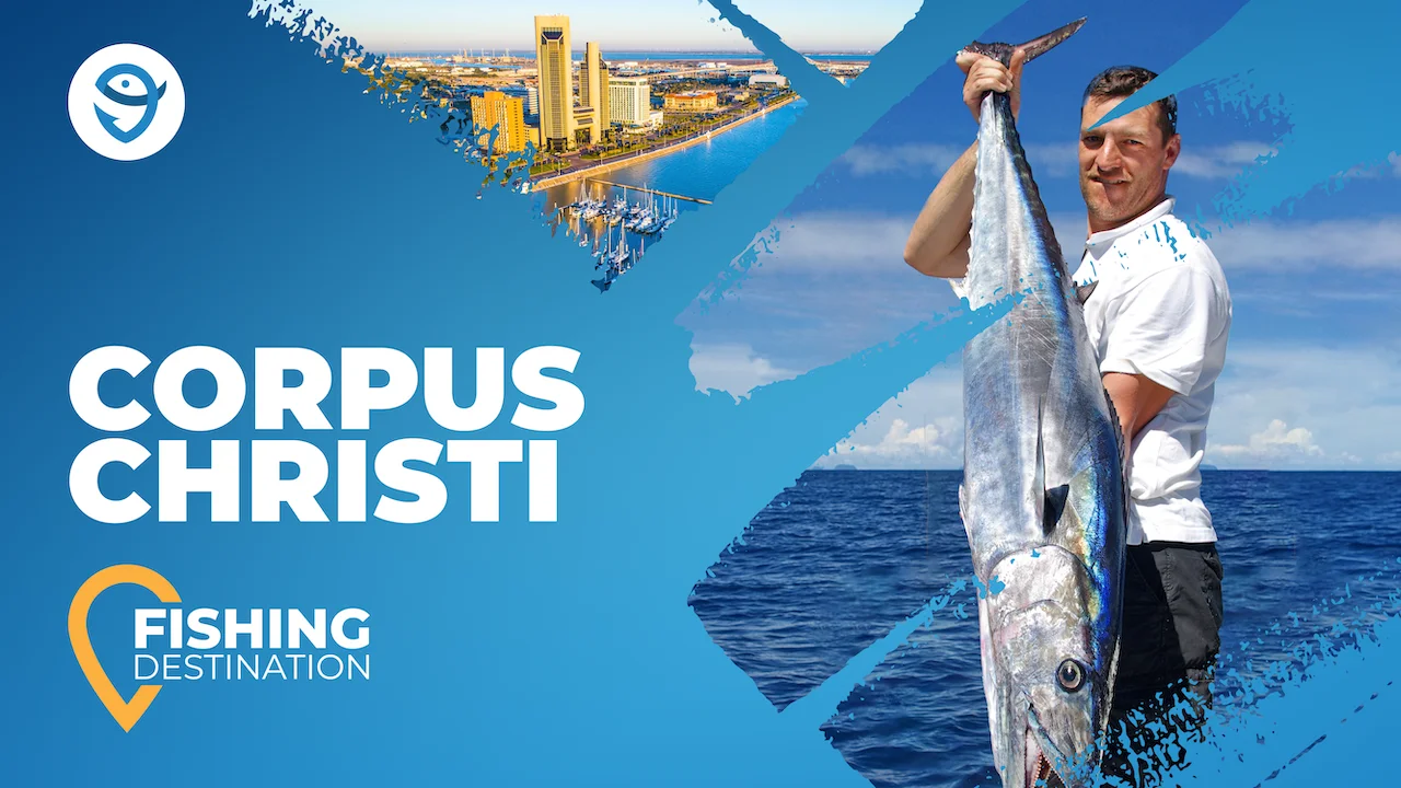 Fishing in CORPUS CHRISTI: The Complete Guide