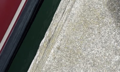 crabbing
