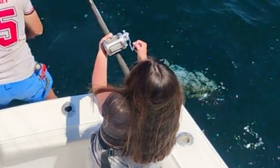 Orange Beach Report Video 0
