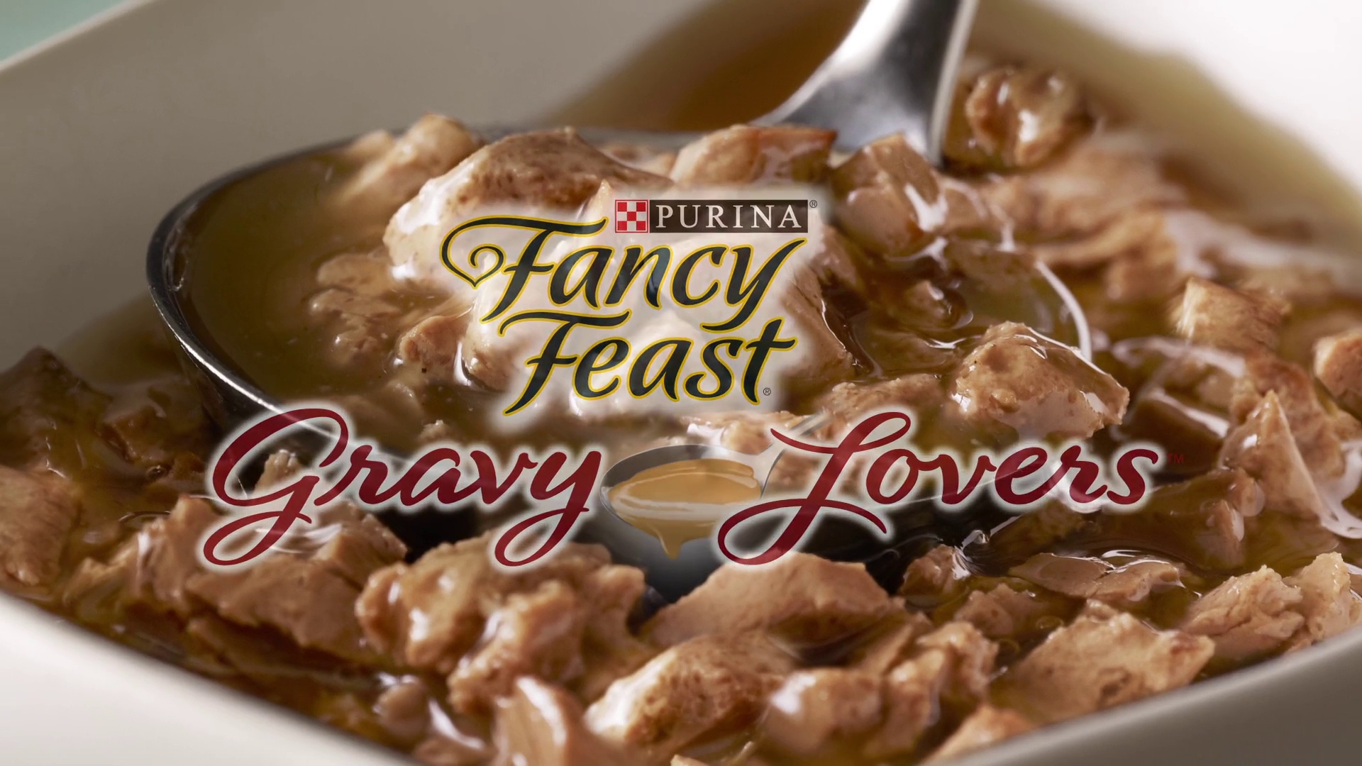 chewy fancy feast gravy lovers